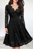 ZJKRL  -  Celebrities Elegant Solid Lace V Neck A Line Dresses(5 Colors)
