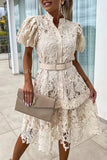 ZJKRL - Elegant Solid Hollowed Out Buttons With Belt Turndown Collar A Line Dresses