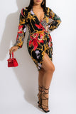 Zjkrl - Multicolor Casual Print Frenulum V Neck Long Sleeve Dresses