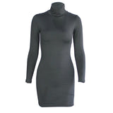 Zjkrl Basic White Turtleneck Long Sleeve Slim Package Hips Mini Short Dress Spring Autumn Women Sexy Bodycon Party Dress Vestidos