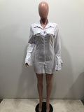 Zjkrl Women Single Breasted Turn-down Neck Shirt Style A-line Bodycon Long Sleeve Dress New