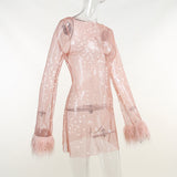 Zjkrl Fall Party Dresses For Women Fashion Sexy Feather Patchwork Long Sleeve Mesh Dress Women Autumn See-through Bodycon Package Hip Party Night Club Dresses