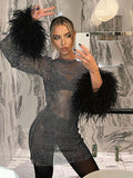 Zjkrl Fall Party Dresses For Women Fashion Sexy Feather Patchwork Long Sleeve Mesh Dress Women Autumn See-through Bodycon Package Hip Party Night Club Dresses