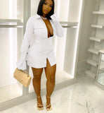 Zjkrl Women Single Breasted Turn-down Neck Shirt Style A-line Bodycon Long Sleeve Dress New