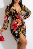 Zjkrl - Multicolor Casual Print Frenulum V Neck Long Sleeve Dresses